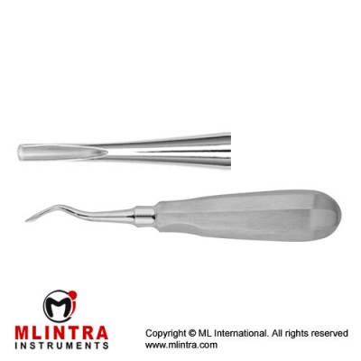 MacMillan Gouge Root Elevator Fig. 11M Stainless Steel, Standard MacMillan Gouge Root Elevator Fig. 11M Stainless Steel, Standard